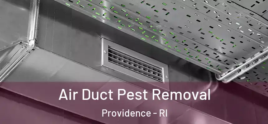 Air Duct Pest Removal Providence - RI
