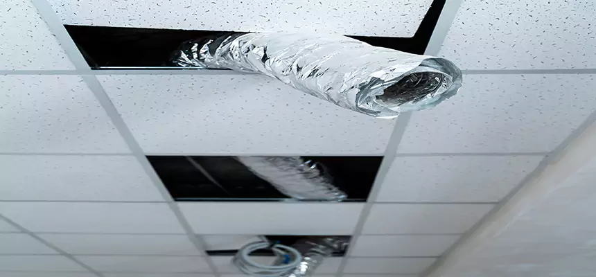 Affordable HVAC Sanitizing After Pest Removal in Providence