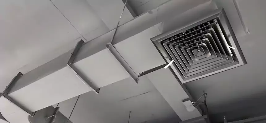 Restorative Allergy Relief Vent Cleaning – Coil, Blower & Housing Detail in Providence