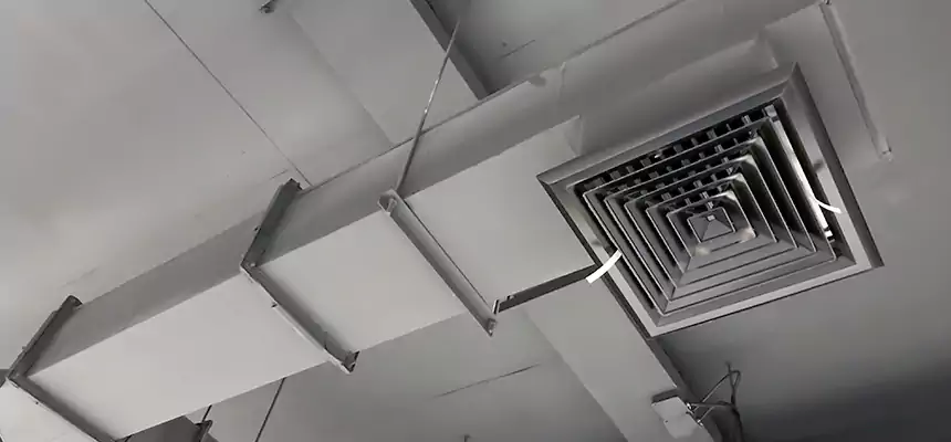 Our Rodent Droppings In Vents Services in Providence, RI