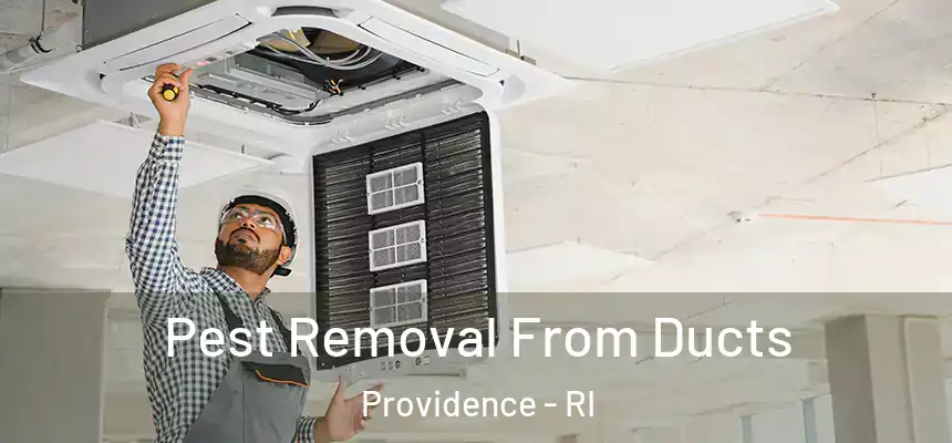 Pest Removal From Ducts Providence - RI