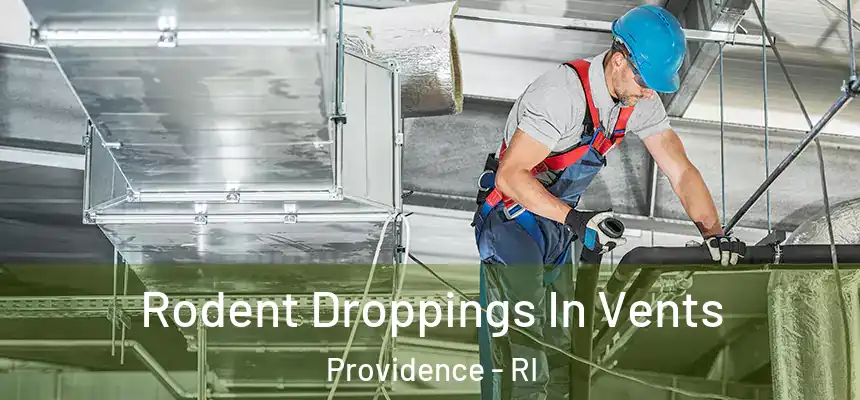 Rodent Droppings In Vents Providence - RI