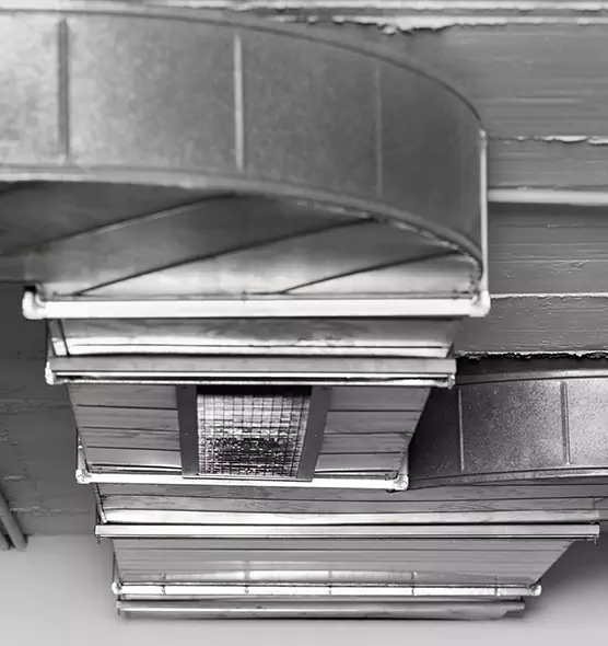 Professional Air Duct Pest Removal in Providence, RI