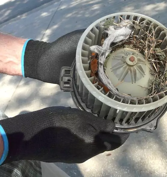 About Air Duct Rat Removal in Providence, RI