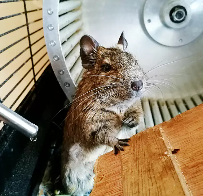 Why Homeowners & Businesses Trust Us Providence, RI