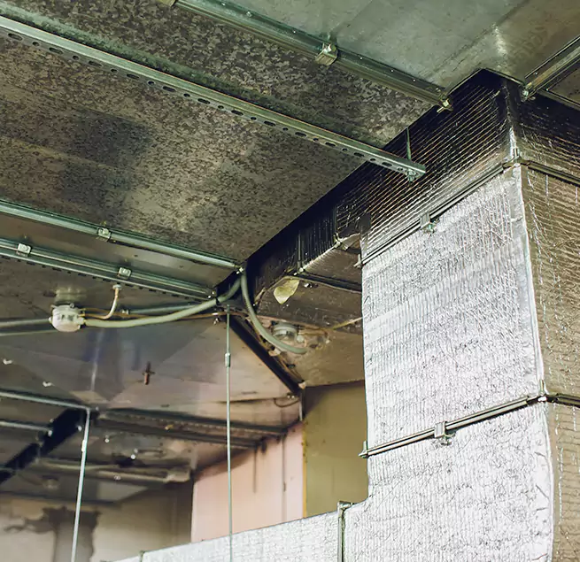 Why Homeowners & Businesses Trust Us in Providence, RI?